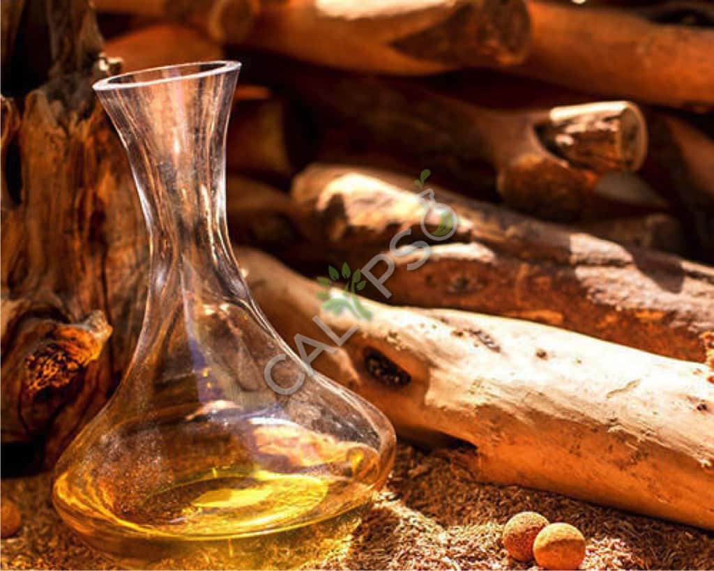 Sandalwood Indian Steel Oil